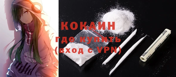 mix Богородицк