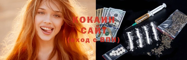 mix Богородицк
