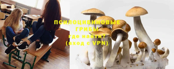 эйфоретик Богородск