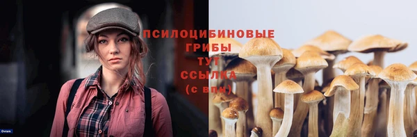 mdma Богданович