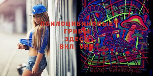 эйфоретик Богородск