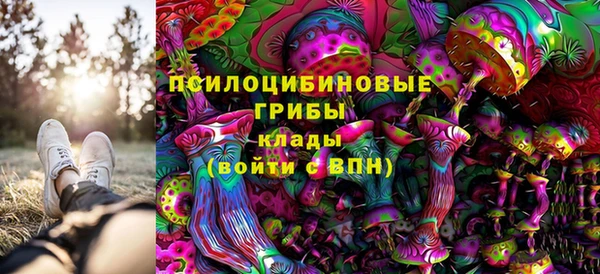mix Богородицк